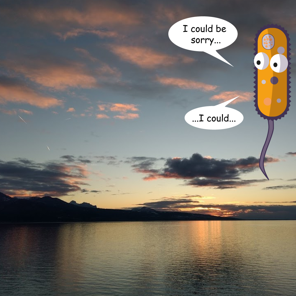Microbial Advent Calendar Missing Days Adrien Assie